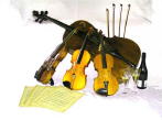 String Quartet