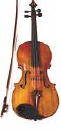 Viola